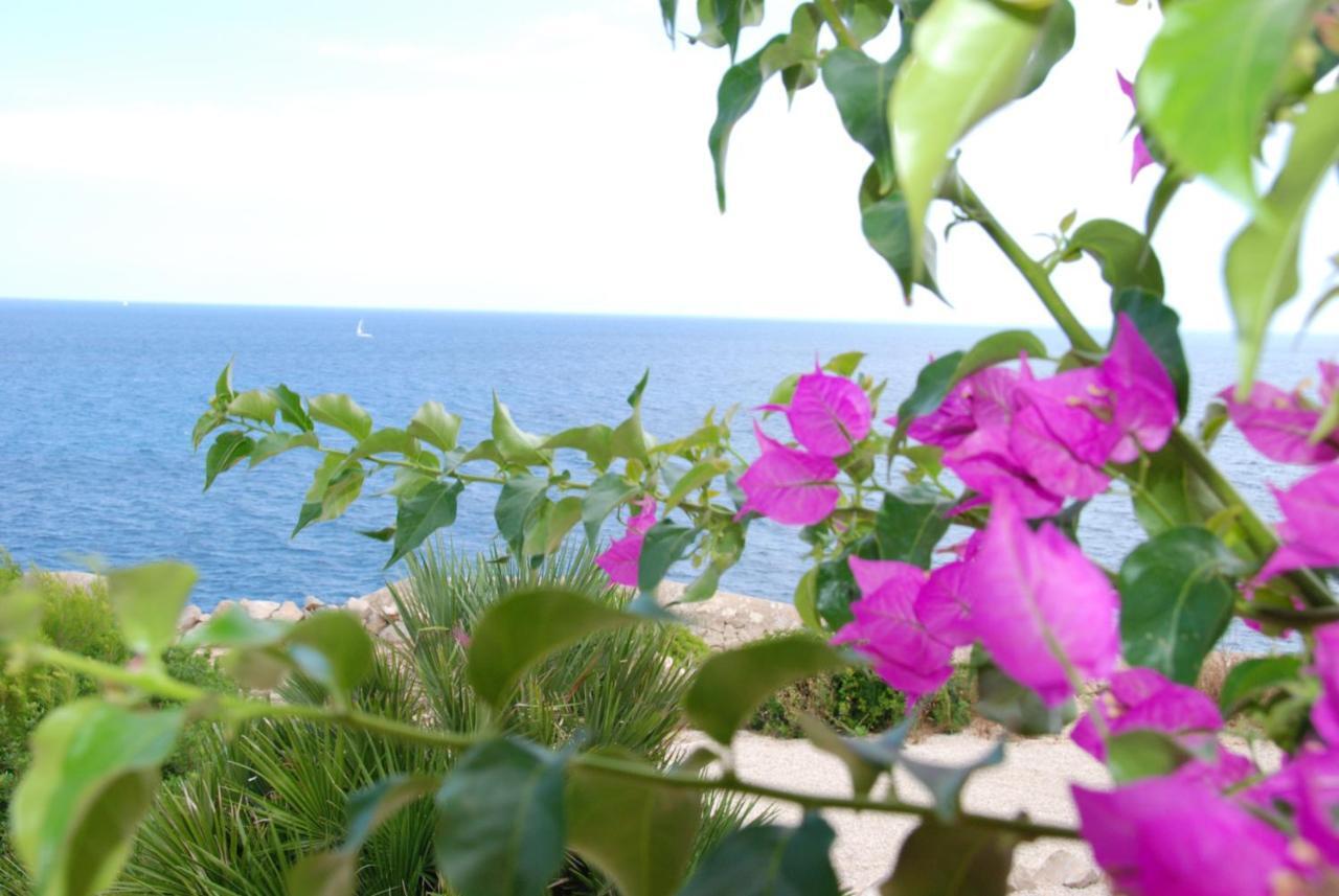 Appartement Residencial Playa Mar *